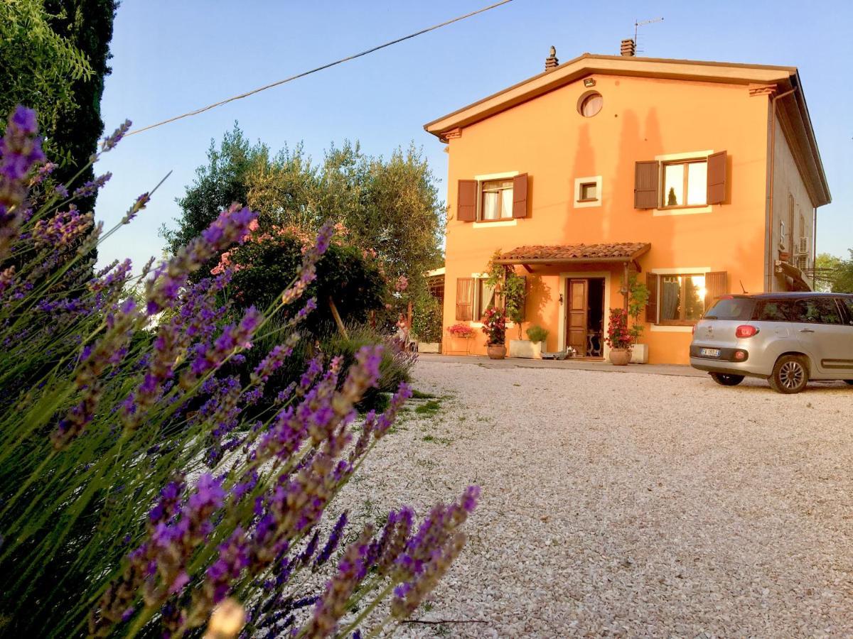 Locanda Della Lavanda San Clemente  Exterior foto